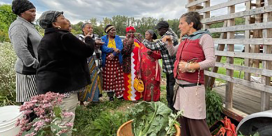 woman at a vegetable market