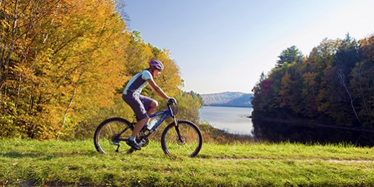 Mountain biker on recreation trail