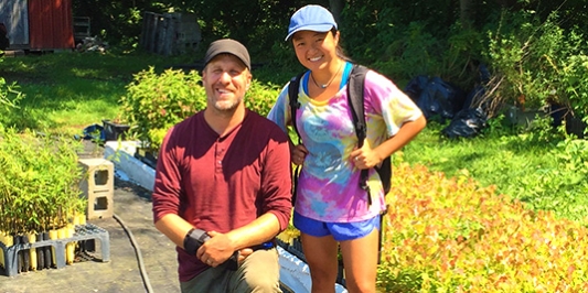 Intern and supervisor at plant nursery