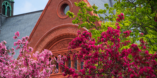 spring blooms on trees in front of campus building