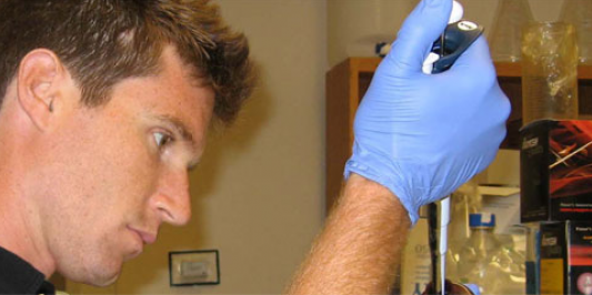 A student conducts a laboratory experiment