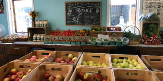 UVM Catamount Farm Stand