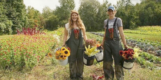 UVM Catamount Farm students harvesting flowers
