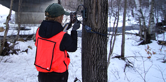 Graduate student in orange vest sets up wildlife camera on a tree near highway underpass in snow.