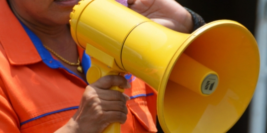 Bullhorn