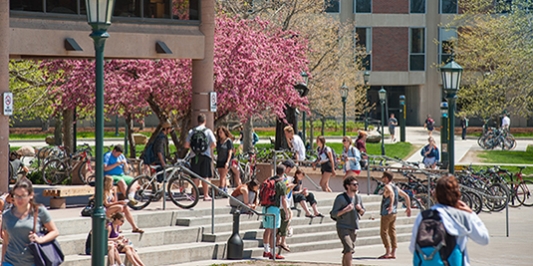 students in front of library