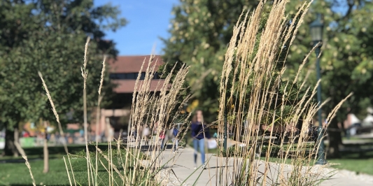 campus walkway