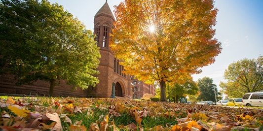 fall campus scene