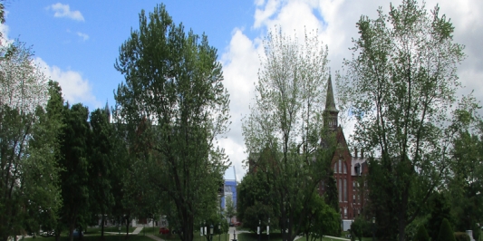 UVM Green