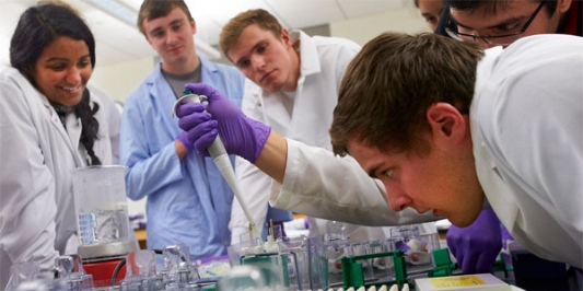undergraduate reseach lab