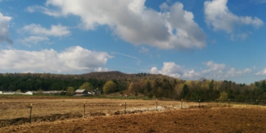 Woodchip Pad on a Vermont Farm