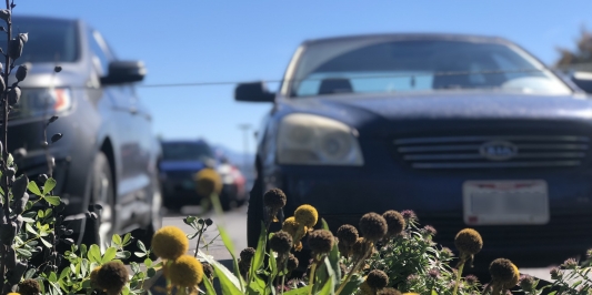 parked car