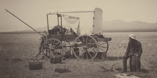 Pringle sitting next to his wagon in the desert, surrounded by plant-collecting equipment