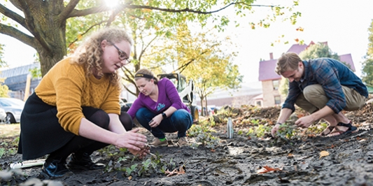 students gathering samples