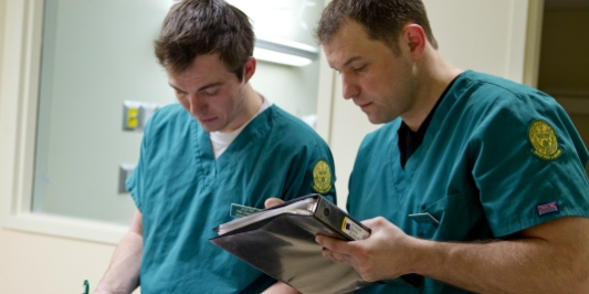 nursing students in the clinical simulation laboratory