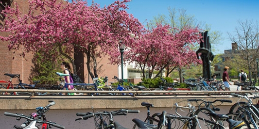bicycles in front of library