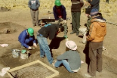 UVM dig