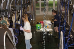 Students in the UVM milking parlor 