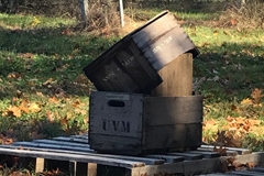 empty apple crates in fall, post harvest