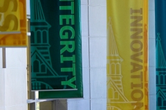 UVM flags