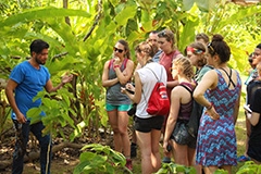 Group of students and a mentor in Costa Rica