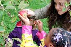 Young children exporing apples and leaves outside