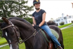 Moragn horse 