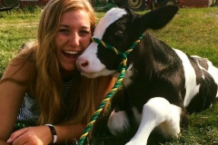 Student laying the grass with calf