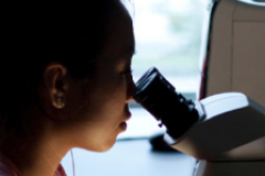 Student using a microscope
