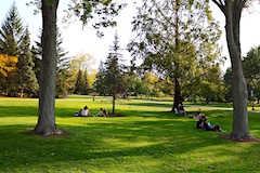 Students studying on UVM Green