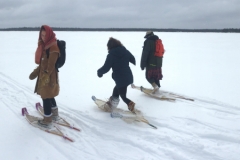 Cree Country