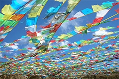 flags