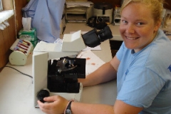 Student working at a microscope