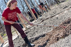 student working in the dirt