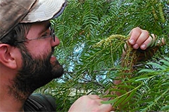 Examining a fern