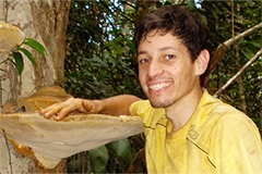 Examining a large tree fungus