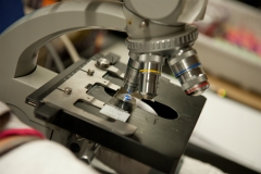 Medical laboratory science equipment