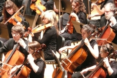 Close up of the orchestra cello section.