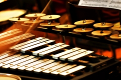 A xylophone, close up