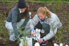 Researchers sampling soils