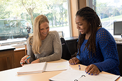 A student consults with a faculty member