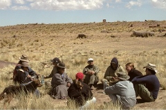 Desert fieldwork