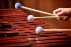 Close up of a marimba being played