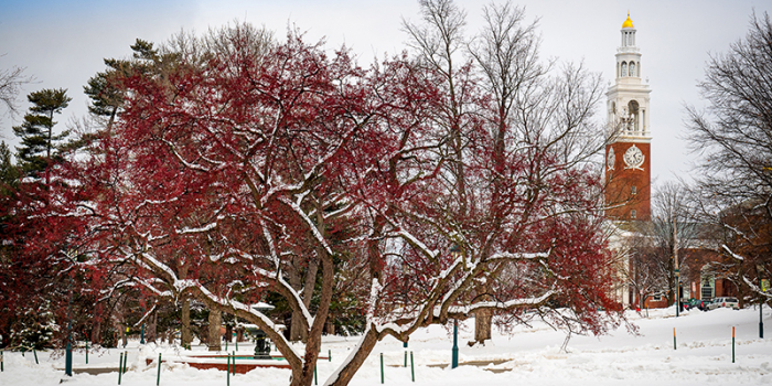 UVM Green in winter, with Ira Allen tower in distance