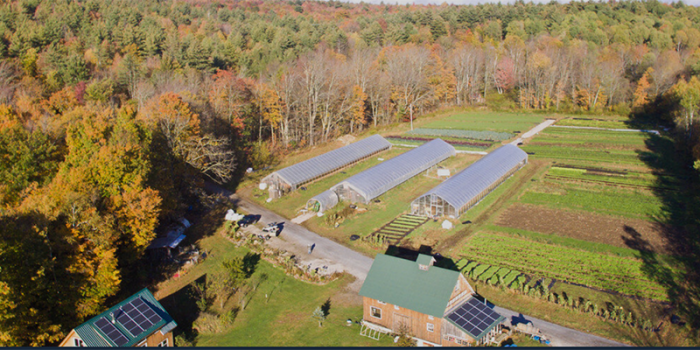 image description: aerial view of a farm with solar panels, plots with different crops, greenhouses, and surrounded by trees in autumn foliage colors
