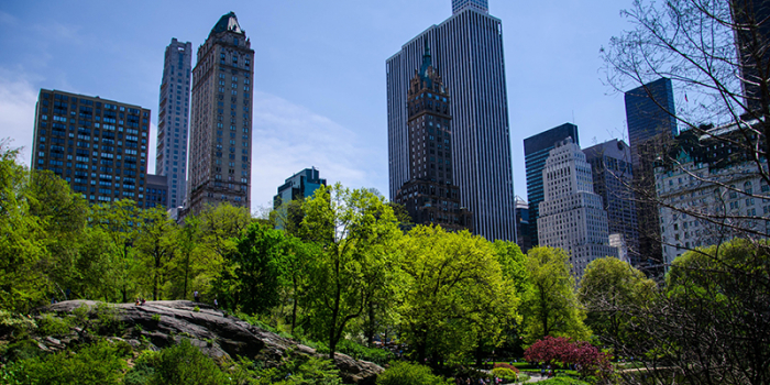 city park