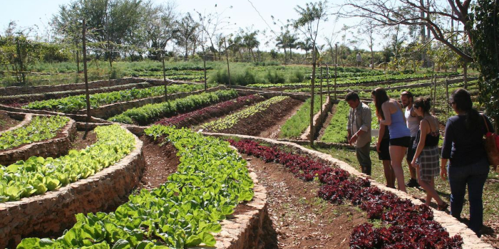 UVM students touring a farm
