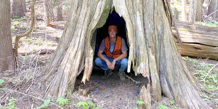Student intern in orange vest sits inside hollowed out western red cedar tree in Idaho forest.