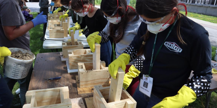 a group of students wearing personal protective gear using wooden blocks to create hempcrete during an outdoor lab at UVM.