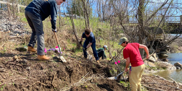 Students planting seedlings along riverbank.